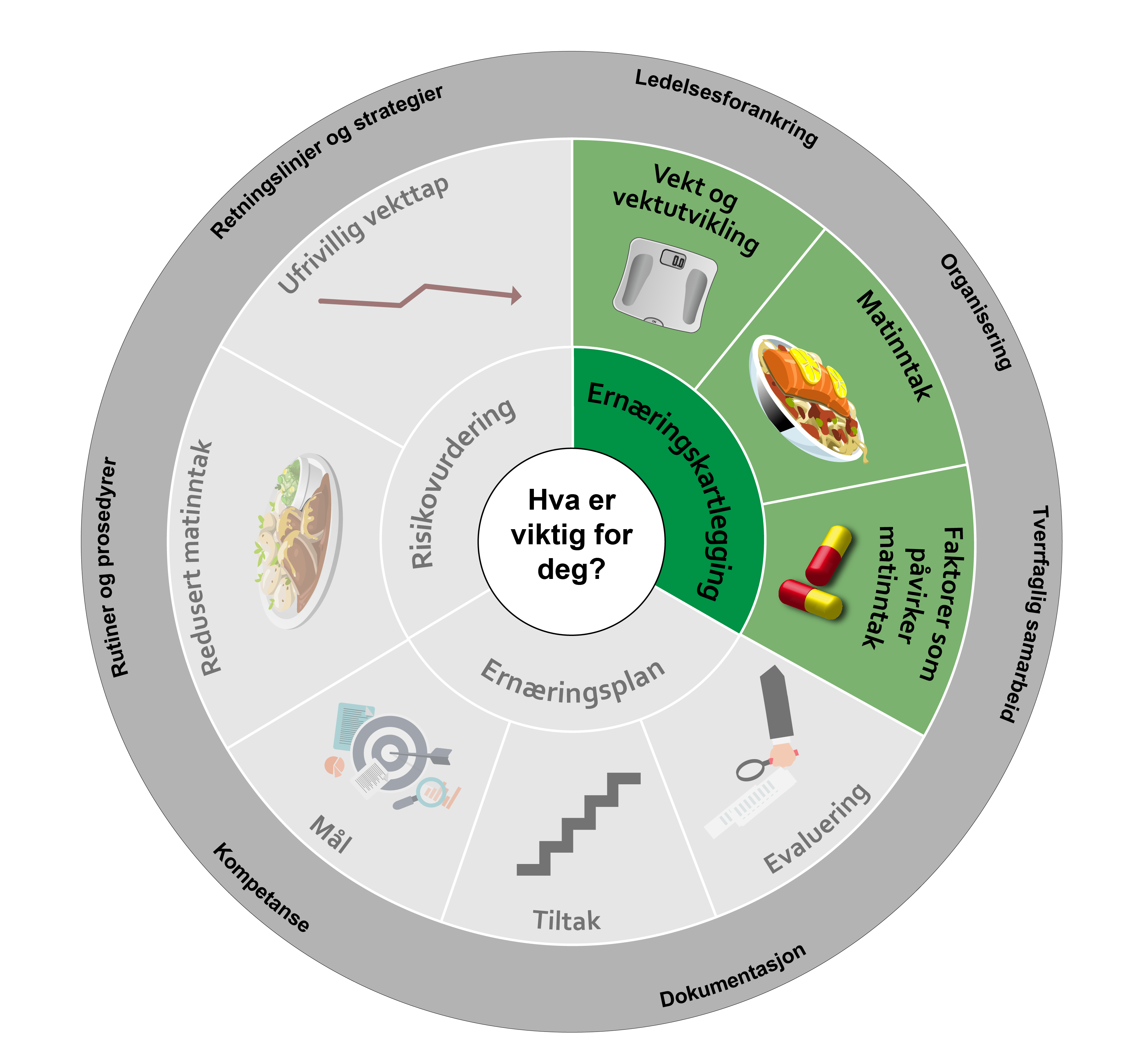 Ernæringskartlegging